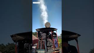 Historical Toy Train of DarjeelingEnjoy Your Ride toytrain darjeeling batasialoop shortsvideo [upl. by Rollin695]