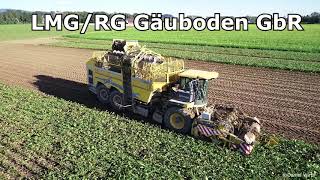 LMGRG Gäuboden GbR Zuckerrüben Roden Ropa Tiger 6S [upl. by Auot390]