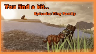 Roblox Warrior Cats  You find a kit  Tiny Family [upl. by Cirri]