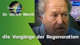 Dr Ulrich Werth  die Vorgänge der Regeneration [upl. by Lorien]