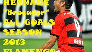 Hernane quotBrocadorquot  Todos os 36 gols em 2013 HD  All Goals 2013  Flamengo  Best Striker  Brazil [upl. by Fotinas]