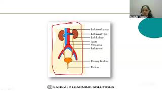 KREIS  SANKALP  10TH STD  LIFE PROCESS  S6 [upl. by Odawa]