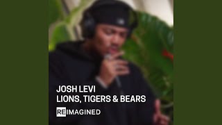 Lions Tigers amp Bears Reimagined [upl. by Cutcliffe]