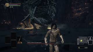 Dark Souls 3  Curserotted Greatwood  SL1  No Hit  No Damage [upl. by Sremlahc]