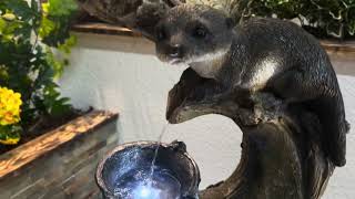 Outdoor Living UK KL45205L Kelkay Otters Element Animal Water Feature [upl. by Dick327]