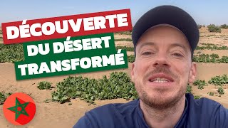 Voyage dans le désert marocain  VLOG de mon 40ème séjour avec Maroc en Conscience [upl. by Llemert119]