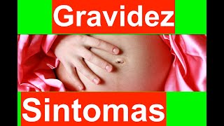 Primeiros Sintomas da Gravidez [upl. by Obie]