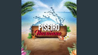 Piseiro Havaiano [upl. by Ernaline826]