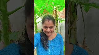 Kammakulla oththa maram song trendingvideos songsoldsong [upl. by Ahsilrae]