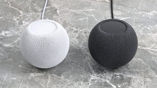 HomePod mini nach 5 Monaten LangzeitReview  Wie gut ist er wirklich [upl. by Ayote140]