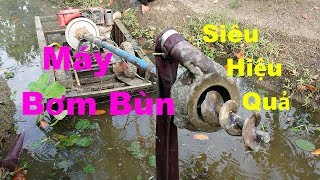 Máy Bơm BùnSìnhĐạt Hiệu Quả Nhất Cho Vườn Mít Thái Siêu SớmMTPL [upl. by Malanie]