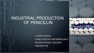 Industrial Production of Penicillin Industrial microbiology [upl. by Argyle]