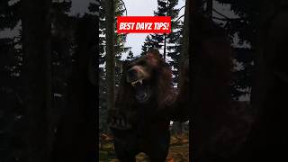 Bets DayZ Tips Tricks and How Tos Also lots of things you didnt know DayZ dayztips [upl. by Lacram480]