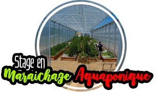 💧AQUAPONIE  Stage en maraîchage aquaponique [upl. by Eiramoj696]