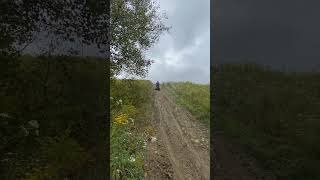 Hill climbing on my lawnmudder mower [upl. by Aronow]