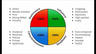 The 4 DISC Personalities [upl. by Nitsid]