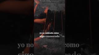 BRONCO lyrics musica letrasmusic shortsfeed shorts paradedicar short shortsvideo love [upl. by Retswerb]