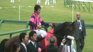 2009年 産経賞オールカマー All Comer 口取式 横山典 Matsurida Gogh [upl. by Hunsinger]