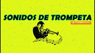 SONIDOS DE TROMPETA MILITAR Y DIFUNDO🎺 [upl. by Annaej]