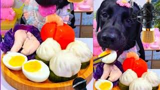 Hungry Dog 🐕 Eating food dig food Eating dogfood pets petfood [upl. by Sloane]