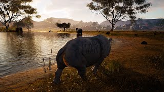 Trying to Survive as a Solo Rhino  Animalia Survival [upl. by Rabbaj]