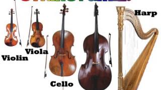 WHICH IS WHICH STRINGED INSTRUMENTS [upl. by Norb]