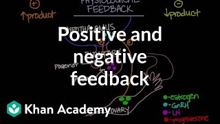 Physiological concept of positive and negative feedback  Behavior  MCAT  Khan Academy [upl. by Oflunra269]