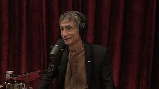 Joe Rogan Experience 1869  Dr Gabor Mate [upl. by Anoved314]