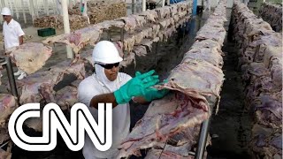 Rússia encerra restrições de importação de carne bovina brasileira  VISÃO CNN [upl. by Yale641]