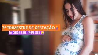 COMO FOI MEU 3° TRIMESTRE DE GESTAÇÃO 🤰💕 [upl. by O'Grady]