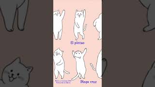 Gato Pintao [upl. by Zeiler]