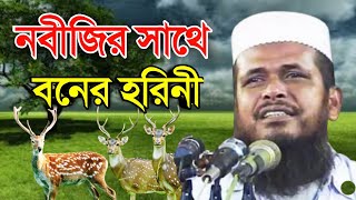 নবীজির কাছে হরিনীর ফরিয়াদ  মাওলানা তোফাজ্জল হোসেন ভৈরবি  Mawlana Tofazzal Hossain Waz  new waz [upl. by Shriner647]