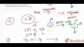 Write the formula of the reagents used in the following reactions  i Bromination [upl. by Bettzel678]