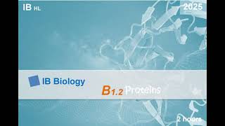 IB Bio 2025 B12 Protein HL Note ib ibbiology biology protein [upl. by Llewsor]