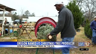 Oregon named 1 Christmas tree producer [upl. by Montford]