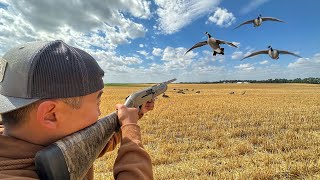 Goose Hunting Opening Day  Early Season 2023 [upl. by Phillida]