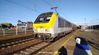 🐧 NMBSSNCB goederentreinfreight train  🇧🇪 BraineLeComte  26 January 2024 [upl. by Etiragram]