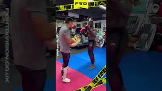 🔥😱 Alain Ngalani is a specimen of a MAN Power amp Agility 🔥😱 ufc boxing mma knockout [upl. by Consuelo642]