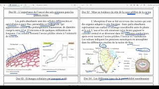 71Absorption de leau et des solutés par les racines [upl. by Fezoj]