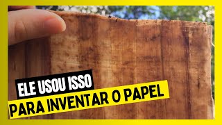 QUEM INVENTOU O PAPEL VOCÊ SABE COMO SURGIU O PAPEL [upl. by Ohnuj]