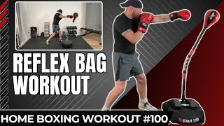 20 Min Beginner Reflex Bag Workout  Cobra Bag vs Punching Ball [upl. by Ahgiela]