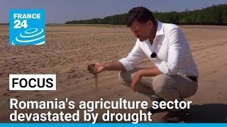 Romanias agriculture sector devastated by drought desertification • FRANCE 24 English [upl. by Killarney]