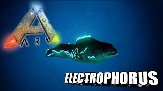 Taming A Electrophorus  Ark Survival Evolved  The Island [upl. by Nagaer]