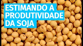 Estimando a produtividade da cultura da soja [upl. by Yoo895]