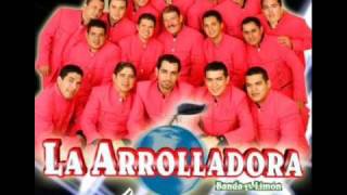 el precio de mis errores la arrolladora [upl. by Nylodnewg]