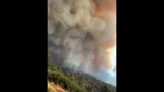 Bridge fire Wrightwood 9102024 2 video [upl. by Kilk]