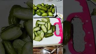 cutting kalamias by pieces vegestables satisfying asmrsounds viralshort asmr [upl. by Rhiamon673]