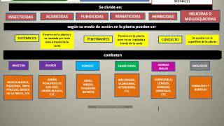 ESNOL CAPÍTULO 2 CLASIFICACIÓN PRODUCTOS SEGÚN SU ACCIÓN [upl. by Lyle923]