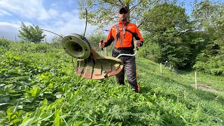 Stihl Fs 511C with durocut 404 trimmer head in big and thick grass [upl. by Cohlette]