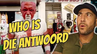 FIRST EVER REACTION to  Die Antwoord  quotFatty Boom Boomquot Official Video WHAT [upl. by Clair]